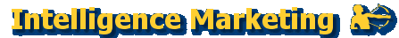 Intelligence Marketing